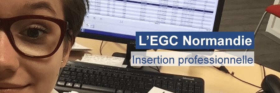 BANNIERE--insertion-professionnelle