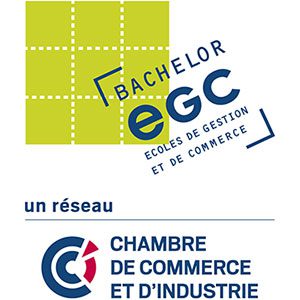 Réseau EGC CCI